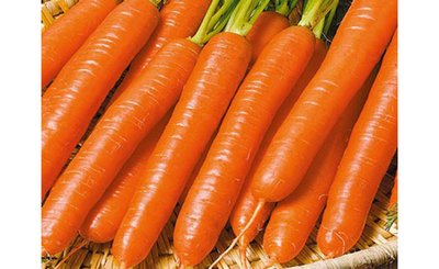 Морква Рубіна / на стрічці 5 м 2710-15 фото