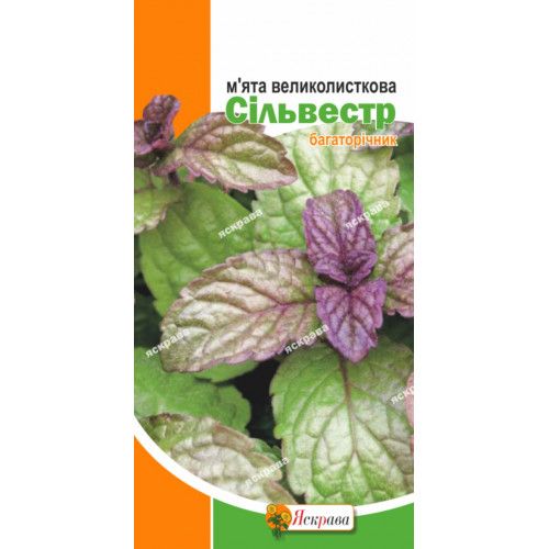 М'ята Сільвестр / 0,05 г 0604-11 фото