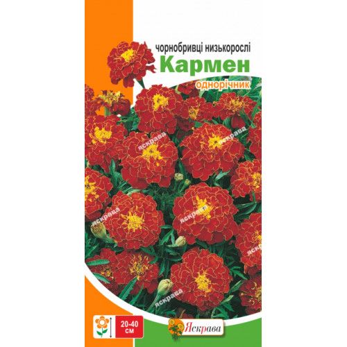 Чорнобривці низькорослі Кармен / 0,5 г 0404-16 фото