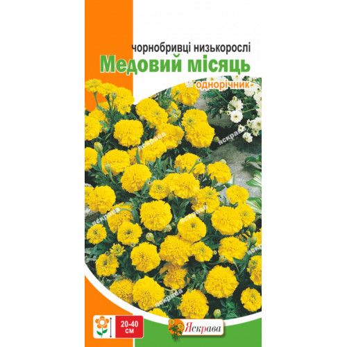 Чорнобривці низькорослі Медовий місяць / 0,5 г 2204-16 фото