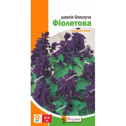 Шавлія блискуча Фіолетова / 0,2 г 0404-05 фото