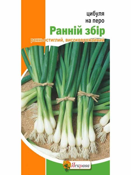 Цибуля на перо Ранній збір / 1 г 203235 фото