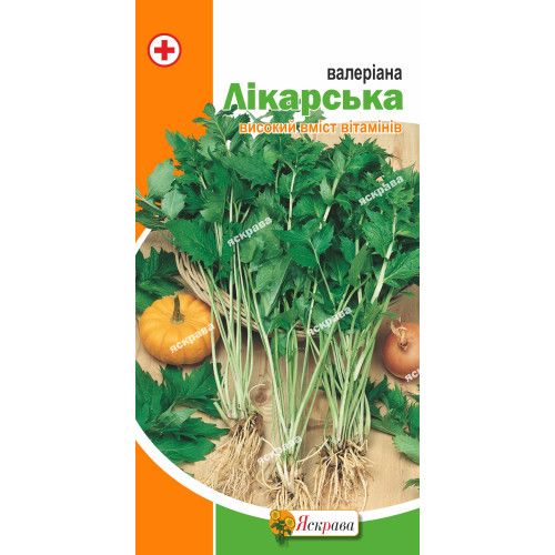 Валеріана лікарська / 0,1 г 202998 фото